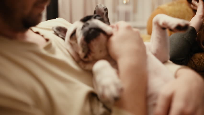 Man Relaxing At Home With Playful Puppy Licking His Face