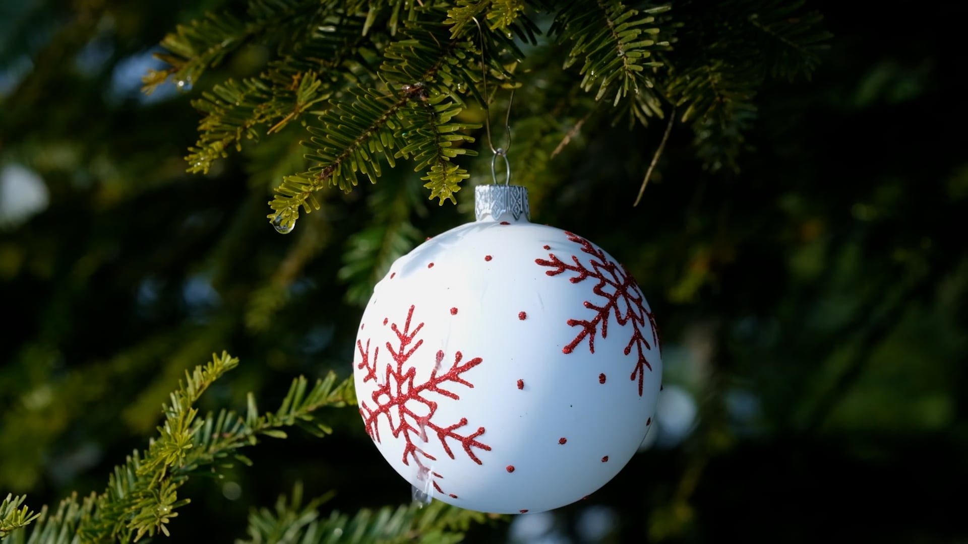 Christmas Christmasdecorations