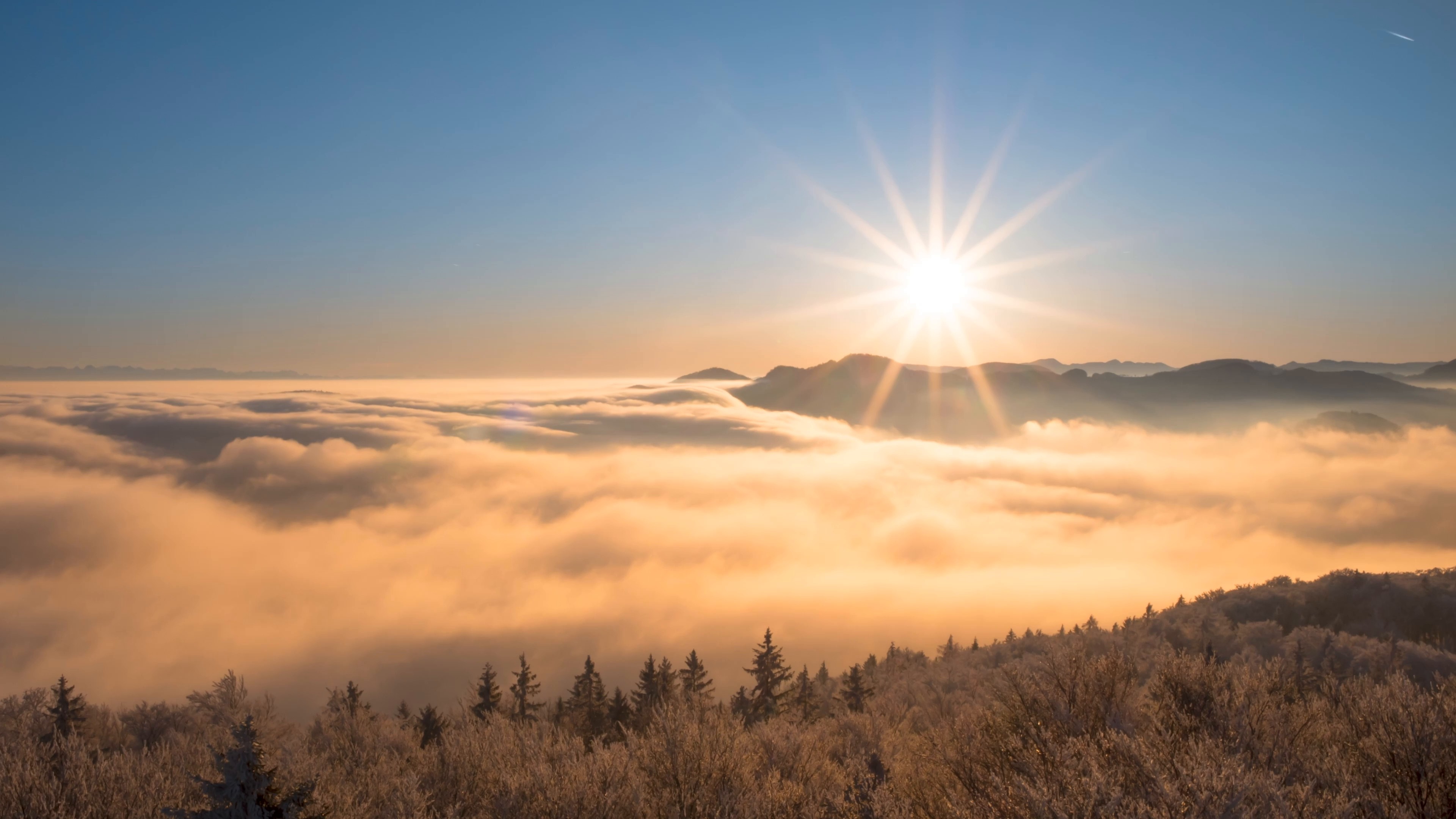 Fog Sun