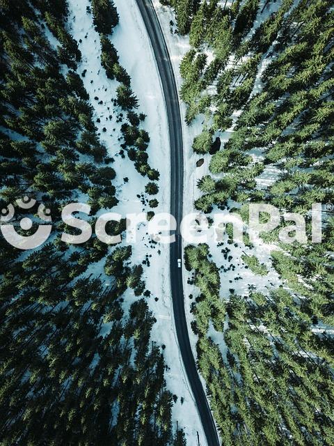 Austria Tyrol Road Drone Forest