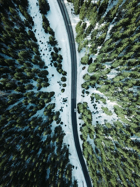 Austria Tyrol Road Drone Forest