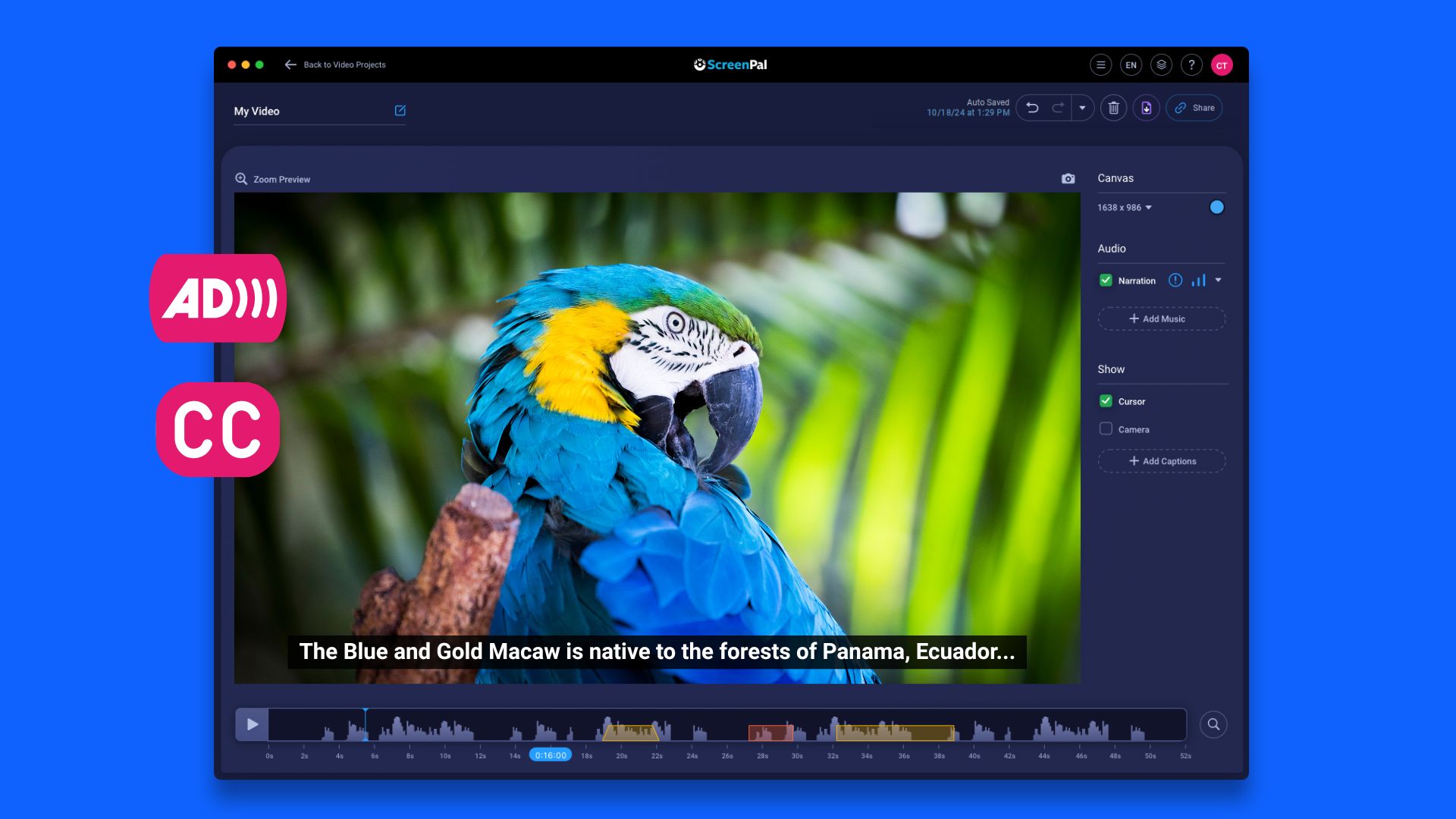 Creating Accessible Videos with ScreenPal