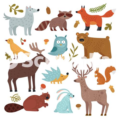 Forest Animals Wolf Raccoon And Fox Bear And Owl Deer Squirrel And Hedgehog Hare And Beaver Elk Wildlife Isolated Set