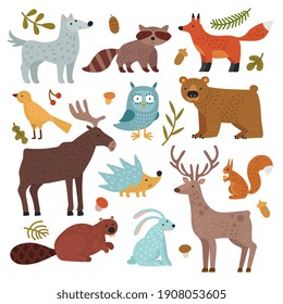 Forest Animals Wolf Raccoon And Fox Bear And Owl Deer Squirrel And Hedgehog Hare And Beaver Elk Wildlife Isolated Set