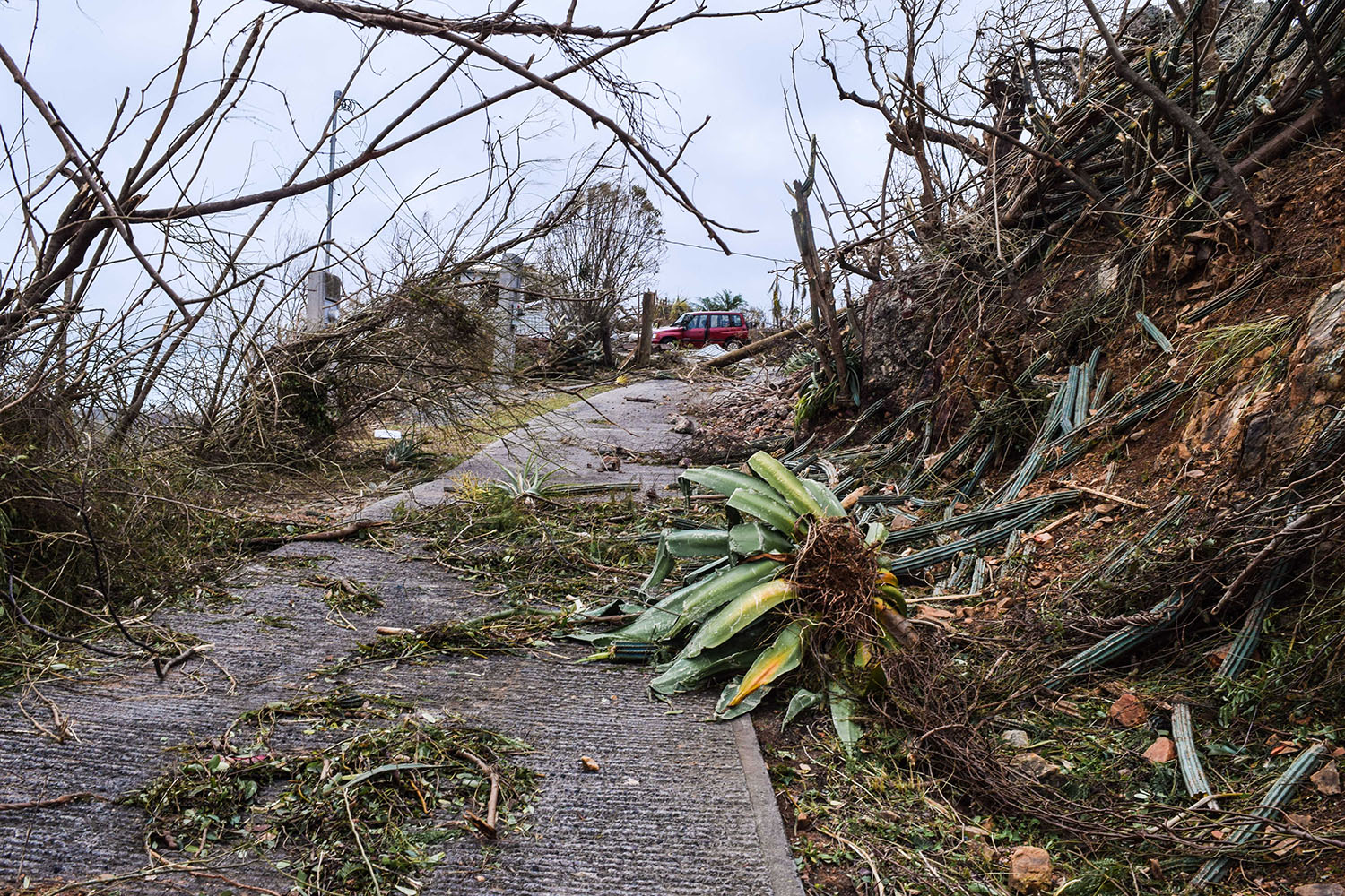 How Video Technology Helped a University In Disaster How Video Technology Helped a University In Disaster