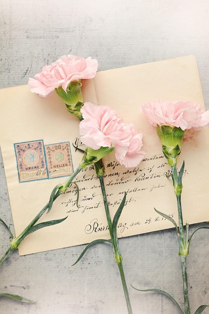 Letter Envelope Pink Carnations