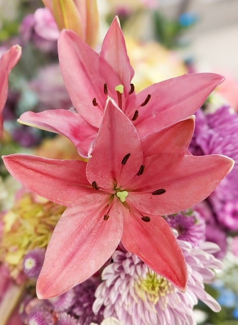 Lilies Stamen Petals Buds