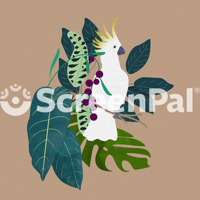 Parrot Cockatoo Bird Nature Plants