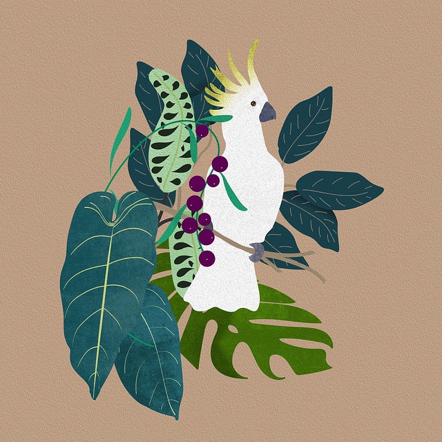 Parrot Cockatoo Bird Nature Plants
