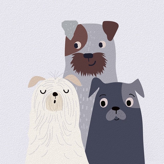 Poster Drawing Nature Animals Dogs