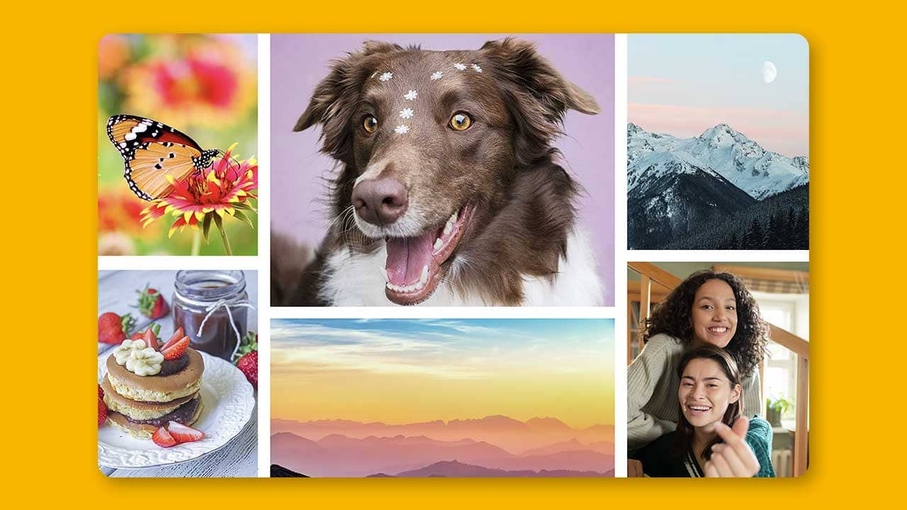 Add An Image From Stock Library