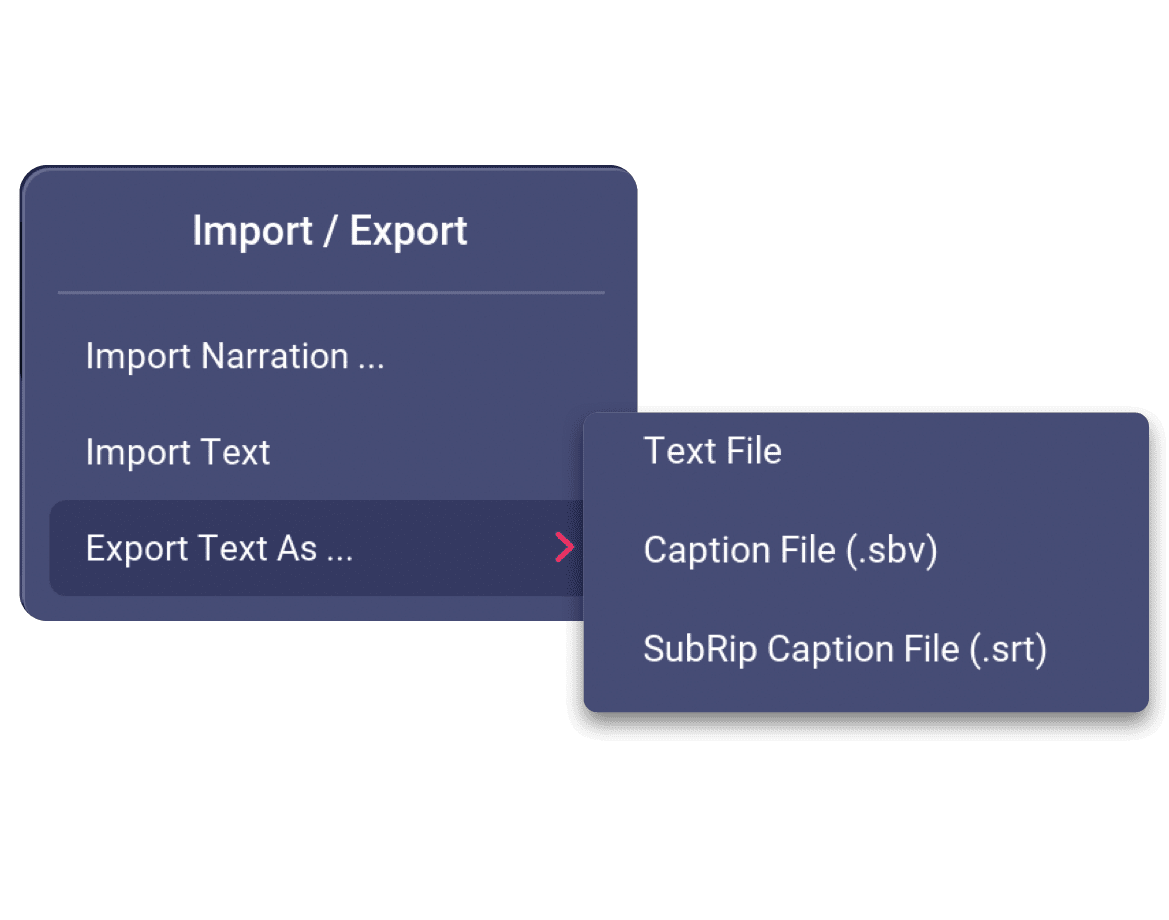 export video transcription file